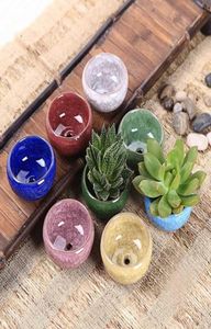 YeFine 8PCSLot IceCrack Ceramic Flower Pots For Juicy Plants Small Bonsai Pot Home and Garden Decor Mini Succulent Plant Pots LJ4058316