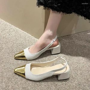 Vestido sapatos saltos altos mulheres grossas com 2023 verão Baotou Lazer todos os idosos e não cansados ​​sandálias romanas single feminina