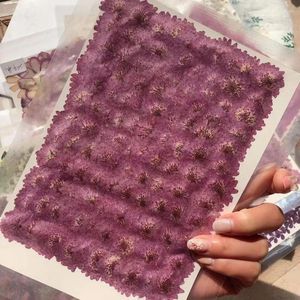 装飾的な花250pcsプレス乾燥した2-3cmの紫色のデイジーフラワープラント植物のための宝石用ブックマークポストカード電話ケースPOフレーム作成