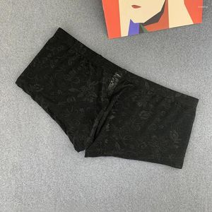 Underpants Sexy Men Transparent Panties Jacquard Nylon Boxers Male Trunk Shorts Ultra-thin Lingerie M L XL XXL Plus Size