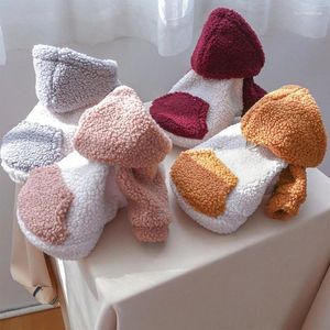 Dog Apparel Pet Clothes In Autumns And Winter Warm Cashmere Korean Sweater Color Cold-Resistant Lamb Wools Tractions