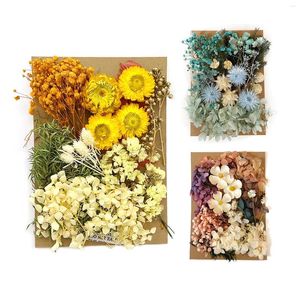 Decorative Flowers Dried Pressed For Resin Natural Leaves Bulk Dry Herbs Kit Home Simulation Pendant DIY Craft Decoration