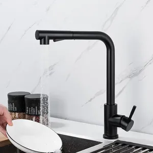 Kitchen Faucets Black Pull Out Sink Mixer Faucet Stainless Steel Cold Tap With Stream Sprayer Head