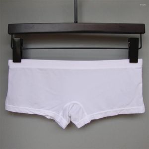 UNDUPTS Buz İpek Mesh-Shorts Gezileri Erkekler Seksi Seer See-Through Gözlük U Pouch Boxer Briess Erkek Gençlik Düşük Bel İç çamaşırı