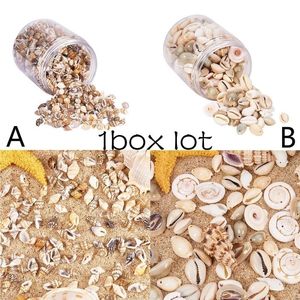 1 Box Natural Shell Conch Ornament Accessories Parts Diy Material Smyckekomponenter Seasskells Beach Wedding Decorations 231222