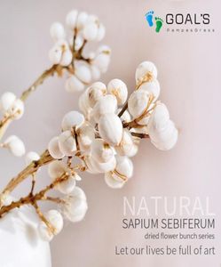 10 steli di alta qualità fiore naturale secco ginkgo frutto grano di funghi per feste decorazioni per la casa7514333