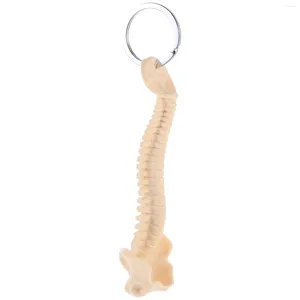 Nyckelringar Human Spine Model Teaching Aid Kids Education Toys Key Holder Car Keychain Pendant Ornament Body Keyring