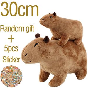 18-30cm Capybara Plush Simulation Capibara Anime Gluffty Byled Animais de pelúcia de boneca macia Presente de aniversário enviando adesivo 231221