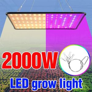 植物成長2000Wフラワーフィト成長パネルランプLEDフルスペクトル実生Fito EU US UK Plug Veg 240 Lights302Y