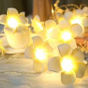 Saiten künstliche Plumeria Blume LED -Streicher Schlafzimmer Wohnzimmer Dekorative Leuchten Schnur batteriebetriebene Hochzeitsraumlampe