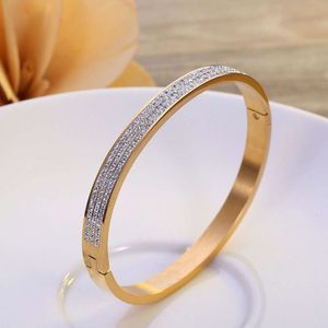 مجوهرات المصمم الكلاسيكي 2024 New Titanium Steel Bracelet Ladies Instagram Non Fade Corean Simple Rose Gold Carele