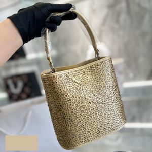 Tasarımcı Crystal Yıldızlı Kova Elde Taşınağı, Kadınların Şık Çapraz Beden Mini Full Fulm Omuz Çantası Crossbody Haberci Çantası