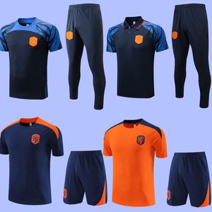2023 Netherlands MEMPHIS soccer tracksuits 24 23 DE JONG Holland DE LIGT WIJNALDUM VAN DIJK DUMFRIES football shirt Short sleeve pants polo training set