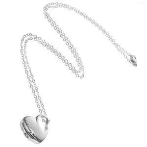 Pendant Necklaces High Capacity Commemorative Pet Locket Memorial Urn Stainless Steel Human Necklace