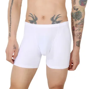 Underpants Fashion Stylish Daily Daily Voction Mutandine Shorts Boxer Breve Lingerie da uomo Cascia sexy a bassa vita