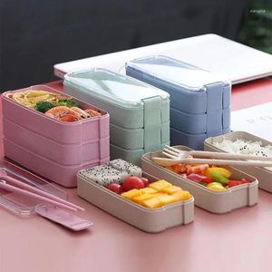 Abendessen japanische Strohbühne 2/3 Schicht Weizen Bento Boxen Mikrowelle Aufbewahrungsbehälter Lunchbox Küche Vorräte