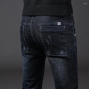 Jeans maschile 2024 classico slim fit elastico driasci driase tubo comodo di marca casual di marca pantaloni in denim