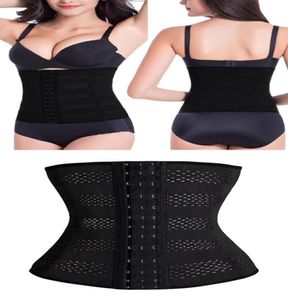 Nuove donne Shaper Lattice in lattice in lattice Cincher Tammer Cesta Cesta Spezza di controllo Slustbusto Belta di controllo Underbust 6420550