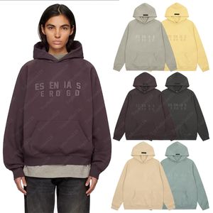 Lüks Markalar Sweatshirts Tasarımcı American Hipster Sweatshirt Ess Kış Moda Uzun Kollu Grafik Hoodies