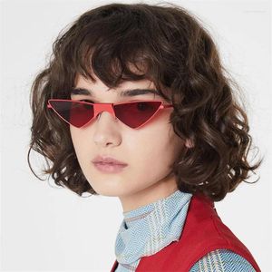 Sunglasses Cyber Monday 2023 Fashion Anime Franky Cosplay Glasses Props For Women Men Black Cat Eye Funny Party Eyewear