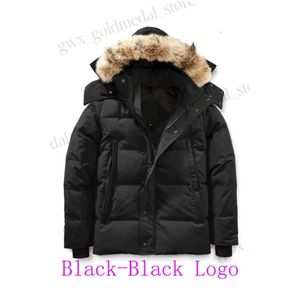 Canda Goose Men Winter Fourrure Canada Down Parka Homme Jassen Chaquetas Ytterkläder Wolf Päls huva Manteau Wyndham Goose Jacket 509