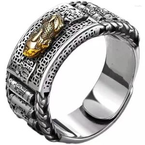 Klusterringar vintage rikedom gudomligt odjur pixiu mynt ring för män smycken personlighet roterbar cylinder breda manliga fingertillbehör