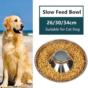 Indossare Ciotole per cani ad alimentazione lenta Pentole per cuccioli in acciaio inox Antisoffocamento Alimentatore per animali sano Piatti per cani durevoli per cani di piccola/media/grande taglia