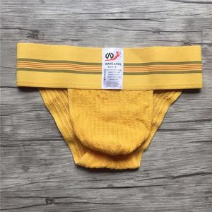 Underpants Net maschile biancheria intima a bassa vita da bassa vita sexy ampliato tela per asciugamano slip sport sport gay