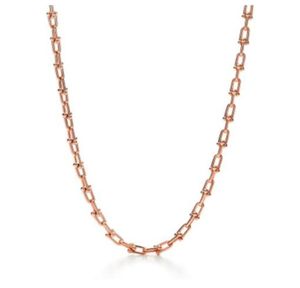 Mode Colliers de luxe Designer Rose Gold Platinum Hardwear Bijoux Collier de chaîne en fer à cheval pour les filles adolescentes Argent Party Diamonds Bijoux en gros7255748