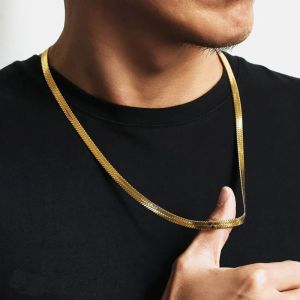 Snake Necklace Men,Golden Color Flat 14k Yellow Gold Necklaces Layering Simple Herringbon Link Choker Men Women Jewelry 28cm - 55cm