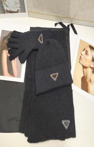 Winter Scarf Scarves Hat Gloves Threepiece Suit Design for Man Women Shawl Long Neck 6 Colors2860952