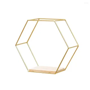 Dekorativa plattor Hexagonal Rack Nordic Style Shelf miljövänlig enkel stansfri dekoration för bibliotek