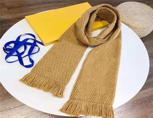 2022 Fashion Paris Design 100 Cashmere Scarf Men039s and Women039s stesso marchio Lettera di marca Scialla grande scialle di lana addensata calda7309675