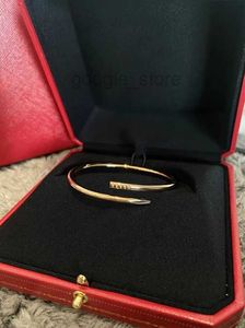 Clou Gold Bangle Fine Nail Sterling Silver Hollow Elastic Bracelet 16-18cm Diamond Woman Designer T0p Quality Official Reproductions 18k Premiumm0aa