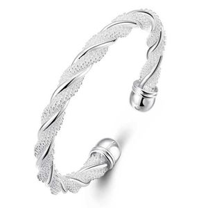 LuckyShine 925 Silver 10 Piece New Product Charm Handmade Armband Antique Silver Armband Bangles for Women Holiday Party B0004186Q