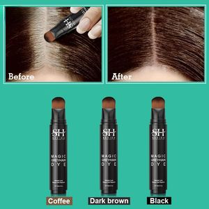 Sevich 20ml Temporary Hair Dye Color Pen 3 Colors Onetime White Grey Cover Up Brush Unisex DIY 231225