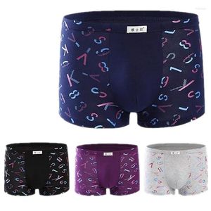 UNDUPTS 4pcs/Lot En Kaliteli Boksörler Saf Pamuklu İç Giyim Erkek Kutusu Plus Büyük Boy L/XL/XXXL/4XL/5XL BOXER SHORTS MALLAR