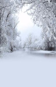 Snow Covered Trees Frozen River Pography Backdrop Vinyl Winter Scenic Wallpaper Children Kids Holiday Po Shoot Background fo9549178