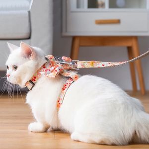 Bow Pet Cat Harness Leases Bröst Justerbar blommor Rem krage för katter kanin liten hund 231225