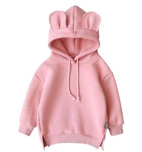 Bluza z kapturem Pinkgreyygreenburybury dla dzieci jesienna zima ciepły sweter dla chłopców i dziewcząt kostium pullover 2201182556951