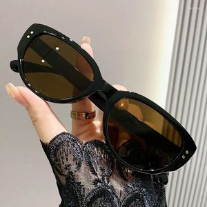 Solglasögon 2024 Fashion Luxury Cat Eye Ladies Outdoor Car Driving Eyewear Men Kvinnor Vintage Travel UV400 Sun Glasses Shades