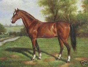 Målningar Högkvalitativ handmålad klassisk konstoljemålning på dukmuseets kvalitet, häst, i flerstorlek vald