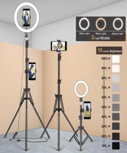 Tripods Pography Tripod For Mobile Phone With Ring Lamp Camara Selfie Light Stand Bracket Youtube Makeup Video Live Po Studio8967726