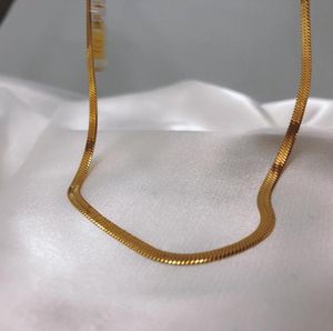 Catene in acciaio inossidabile 3mm catena a spina di pesce collane girocollo per le donne collana di placcatura PVD gioielli Fashion9667591