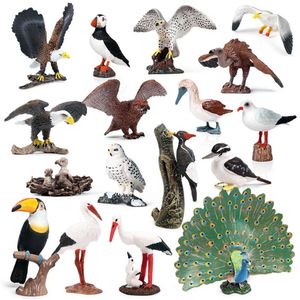 Reunir figuras de ação modelo animal simulação plástico sólido brinquedo vida selvagem pássaro papagaio águia avestruz pavão ornamento