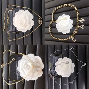 Charme Designer Anhänger Perlenketten Kette Marke Brief Kristall Halskette Vergoldet Titan Stahl Halsband Voguish Frauen Hochzeit Schmuck Zubehör