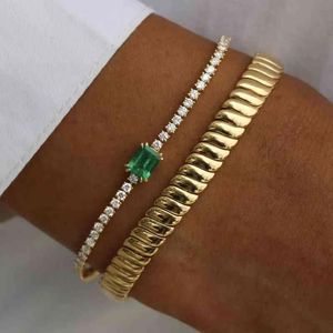 Strands Bangle Designer 2022 Design Classic European Women Lady Jewelry Podstawowa łańcuch węża Wysokie polerowane Bransoletka do jodełka