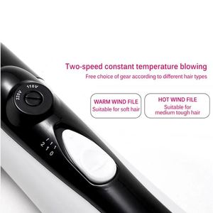 DSドライヤー2021 NEW 5 IN 1 Professional Brower Brush Hairdryer Electric Hot Air Combuling Iron Styler Blow Dryer
