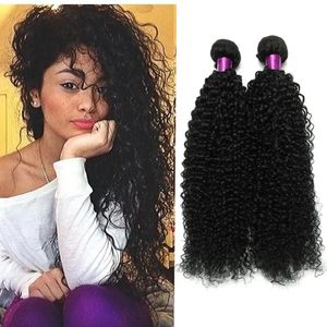 Schleifen brasilianisches Kinky Hair 6a 100% unverarbeitetes brasilianisches jungfräuliches Haar Brasilianische lockige jungfräuliche Haare lockige Gewebe menschliche Gewebepakete