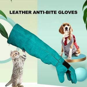 Husdjurshanteringshandskar Bite resistent Multi Functional Anti Scratch Leather Protective Anti Thorn Animal Supply 231227